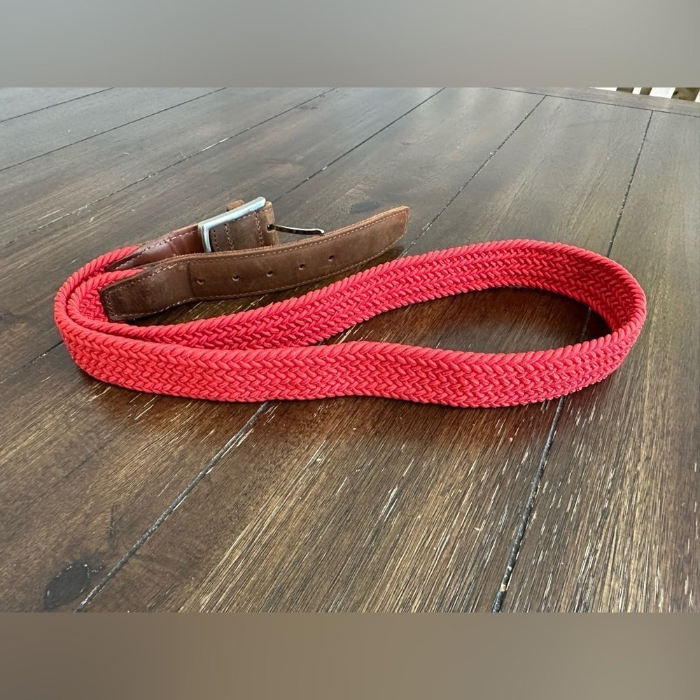 Turtleson belt - Picture 10 of 11